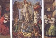 Sandro Botticelli Transfiguration,with St Jerome(at left) and St Augustine(at right) oil painting reproduction
